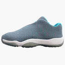 Jordan Future Low Wolf Grey (gs)