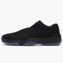 Jordan Future Low Gamma