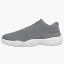 Jordan Future Low Grey Mist