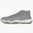 Jordan Future Wolf Grey