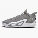 Jordan Tatum 1 Cool Grey (gs)