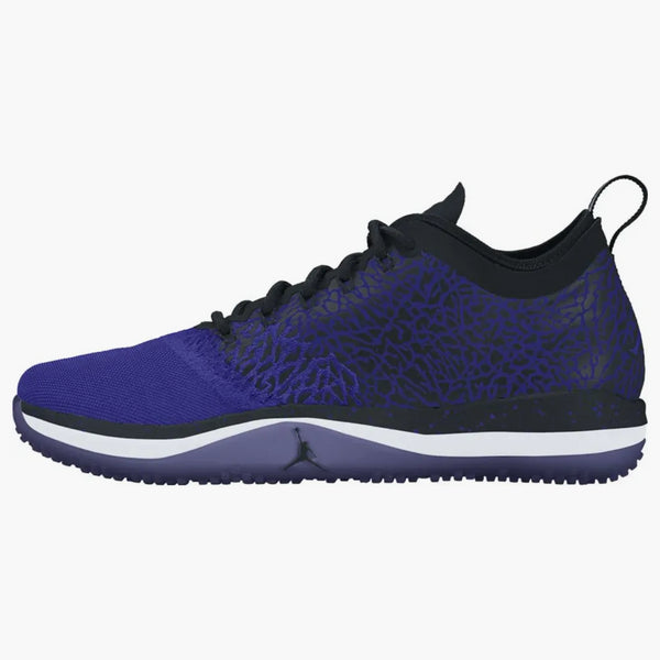 Jordan Trainer 1 Low Concord
