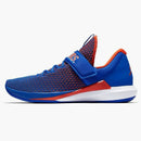 Jordan Trainer 3 Florida Gators