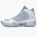 Jordan Xx9 Pantone