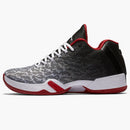 Jordan Xx9 Low Bulls