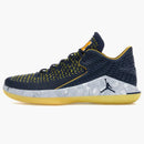 Jordan Xxxii Low Michigan