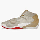 Jordan Zion 2 Let's Dance