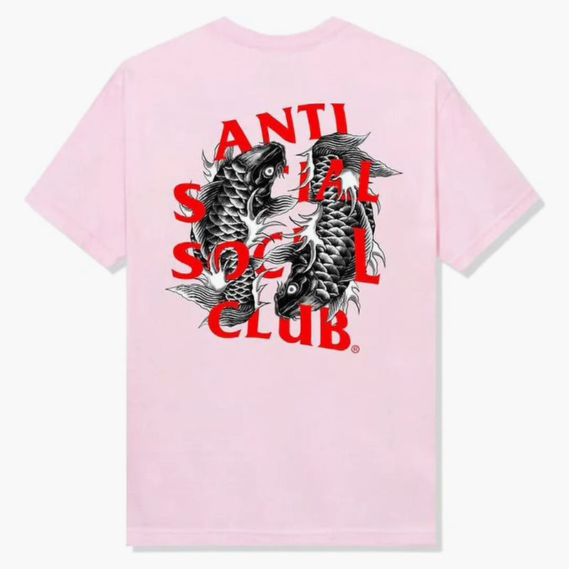 Club sociale anti -sociale omakase tè rosa