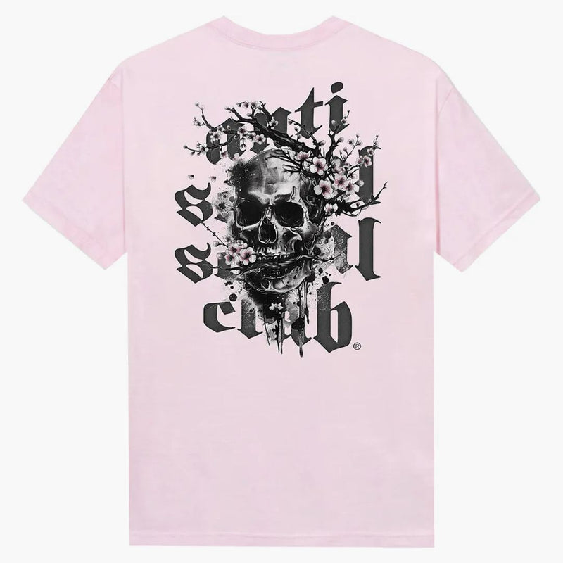 Club sociale anti -sociale tua maestà di tè rosa