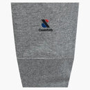 Anti Social Social Club x Fallstudie Flag Hoodie Gray