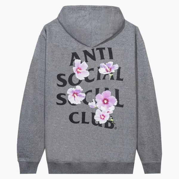 Anti Social Social Club x Fallstudie Flag Hoodie Gray