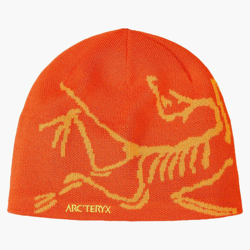 Arc'teryx fågelhuvud toque beanie solaris/edziza