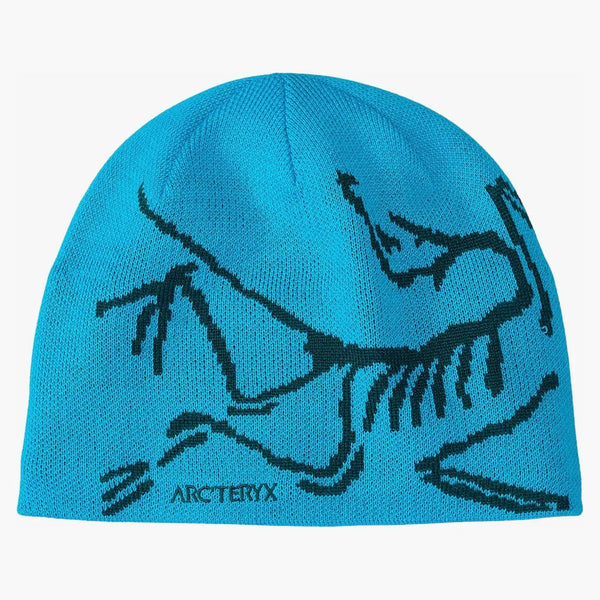 Arc'teryx fågelhuvud toque blå tetra/pytheas