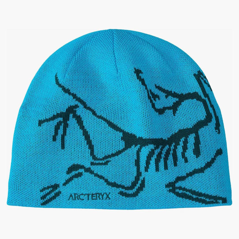 Arc'teryx fågelhuvud toque blå tetra/pytheas