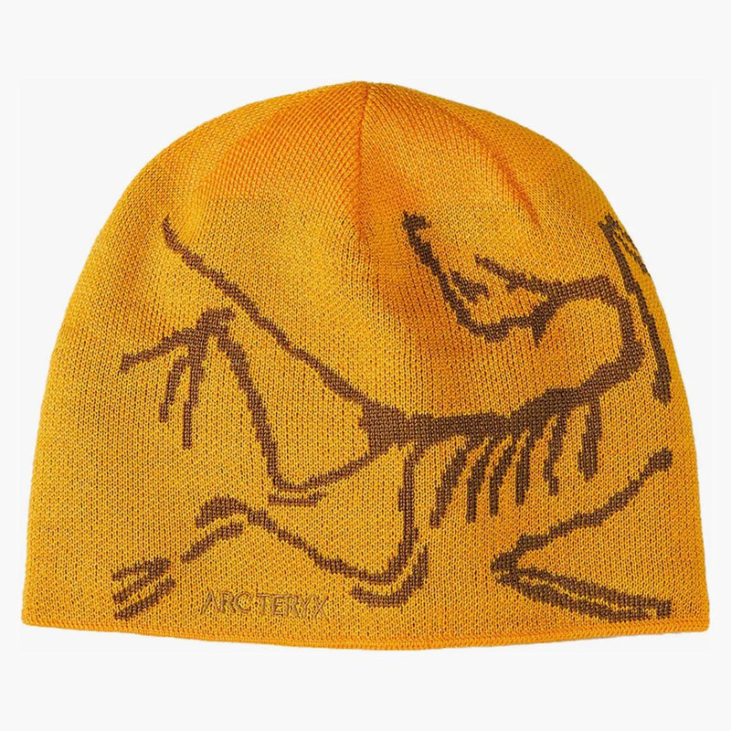 Arc'teryx fågelhuvud toque edziza/relic