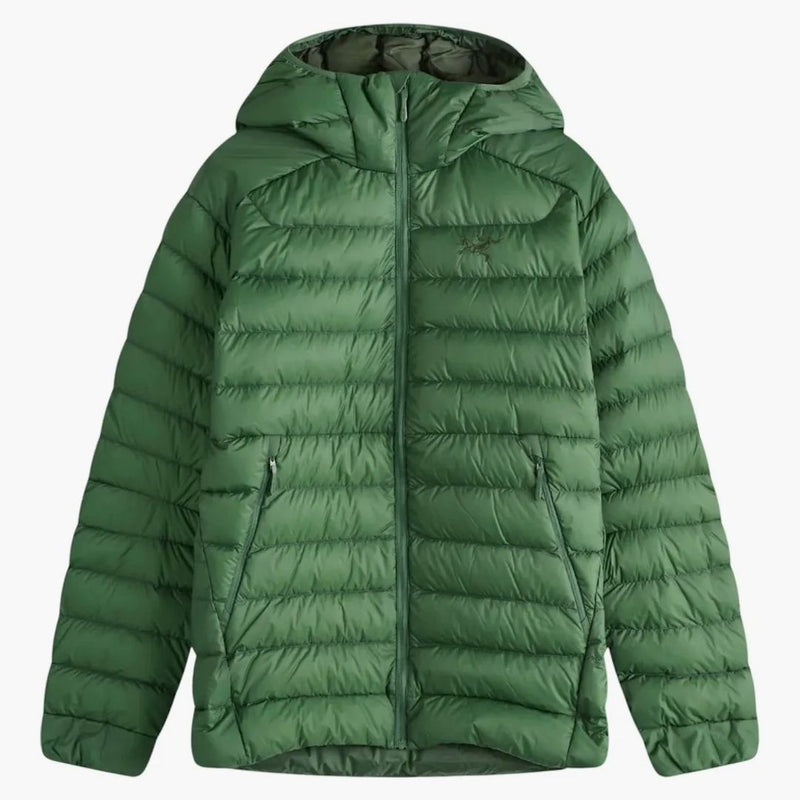 Arc'tteryx Cerium Chaqueta con capucha Edén