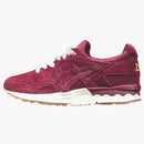 Asics Gel-Lyte V Sneakernness Passport