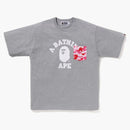 Bape Abc Camo College Pocket Relaxed Tea (SS23) Gray