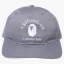 Bape a Bathing Ape Panel