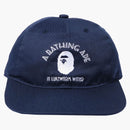 Bape a Bathing Ape Panel