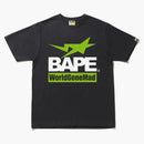 Bape Archive Graphic