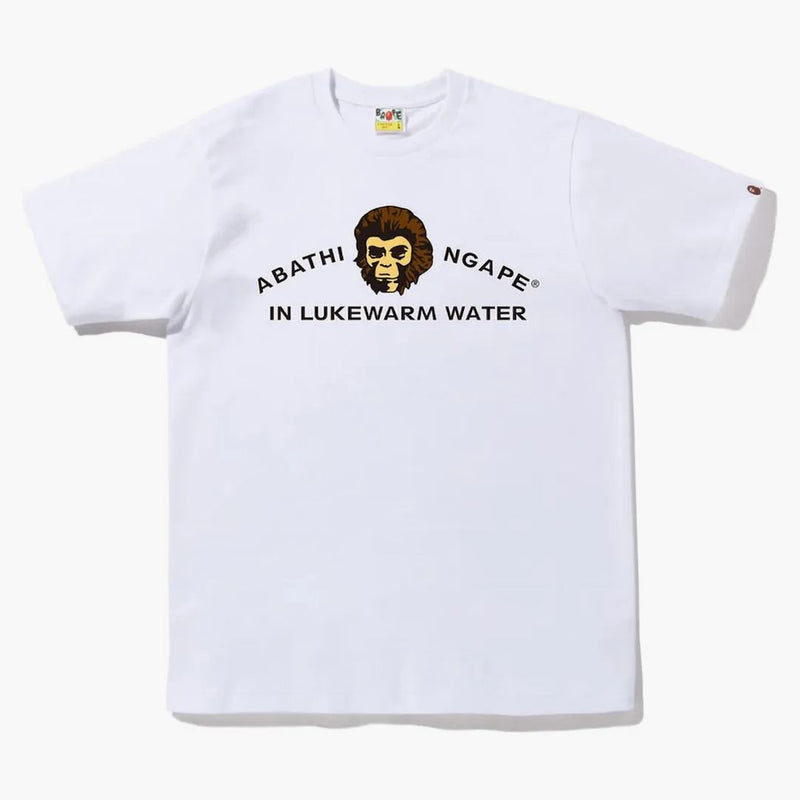 Bape Archive Graphic