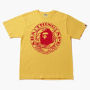 Bape Archive Graphic