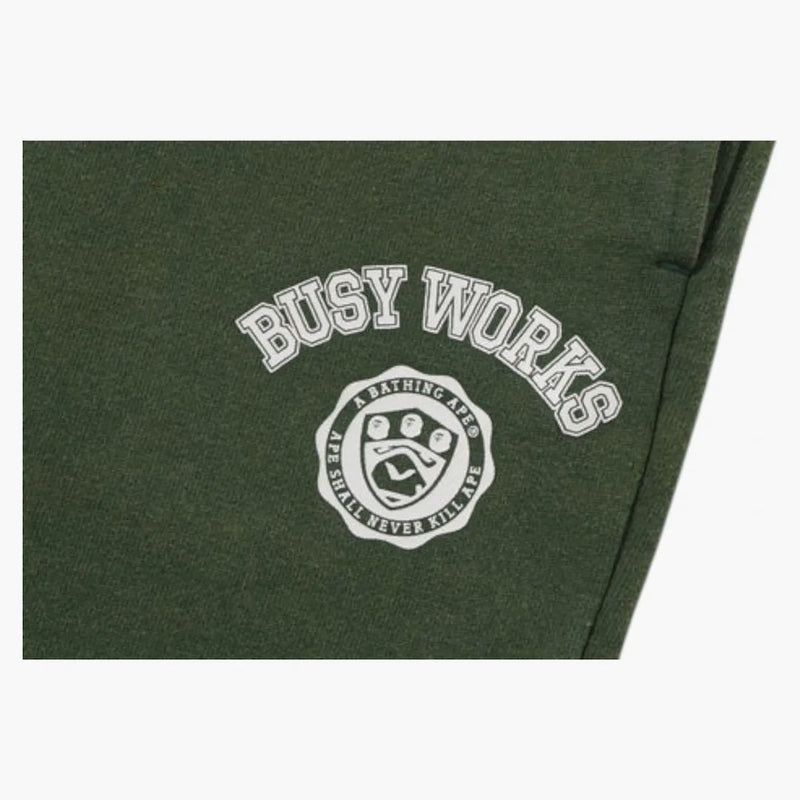 BAPE BUSE FUNCȚIONEAZĂ VERSE PUTRABIL