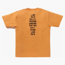 Bape classico bambino milo tè arancione