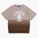 Bape College Gradation S/S Sweat Crewneck Brown