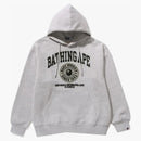 BAPE College Graphic Holkie Gray