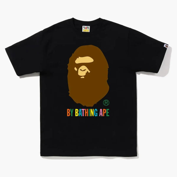 BAPE Colors by Bareding Ape Tee (FW22) Black Multi