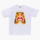 Bape Colors Tiger Tee Tee White