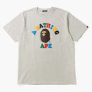 Bape Multi Color Letters College Tea Gray