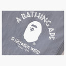 Bape Nylon Beach Shorts Gray