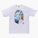 Foto di bape sakura scimmia