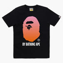 Bape Women's Gradation by Bathing Ape Tea Black