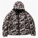 Bape X Canada Goose Crofton Buffer Jacket Gray