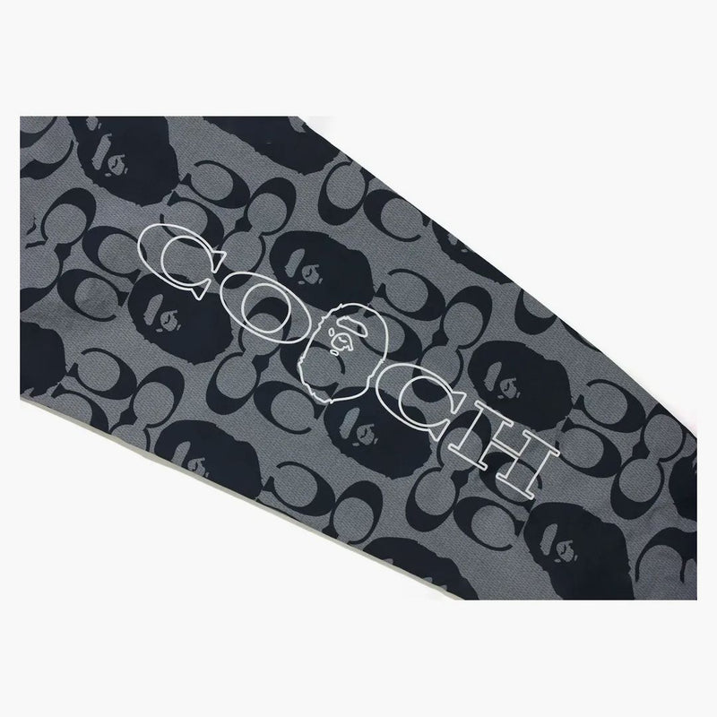 BAPE X Coach Windbreaker Navy