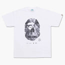 Bape James Lavelle NW20 výstava čaj bílý