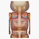 Bearbrick Shelterbank The Human Bear 400%