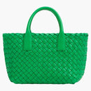 Bottega Veneta Cabat Intreccio Dead Bag Mini Parakeet