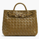 Bottega Veneta Small Andiamo Acorn