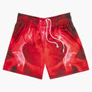 Bravest Studios X-ray Shorts Red