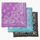 Cactus Plant Flea Market Flash Bandana (set Of 3) Multi