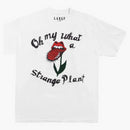 Cactus Plant Flea Market Rolling Stones Strange Plant T-shirt White