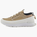 Kanada husa ledovcového pokusu opálení bílá