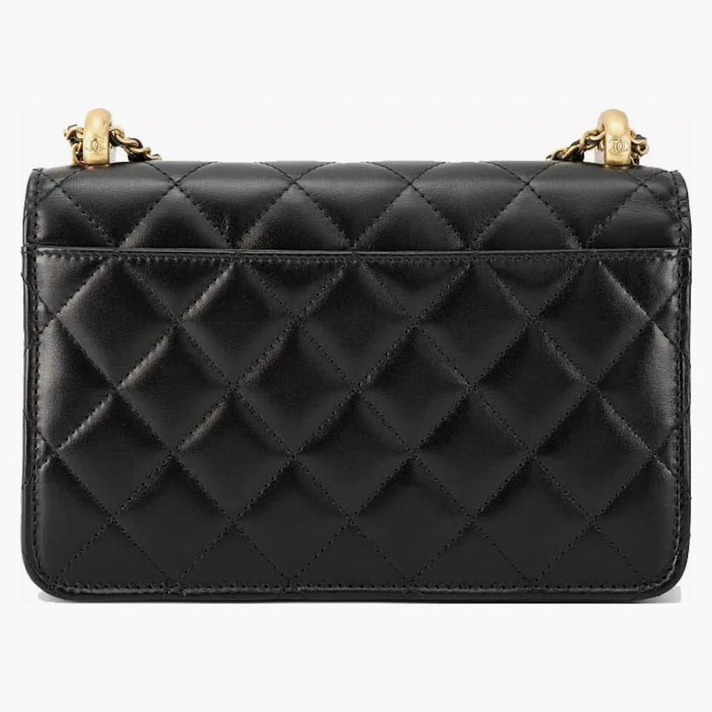 Chanel Adjustable Strap Woc Black (ap2289)