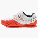 Pitón de huevo de tomate cherry diesel s-pendhio lc