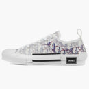 Dior B23 Low Top Red Blue Oblique